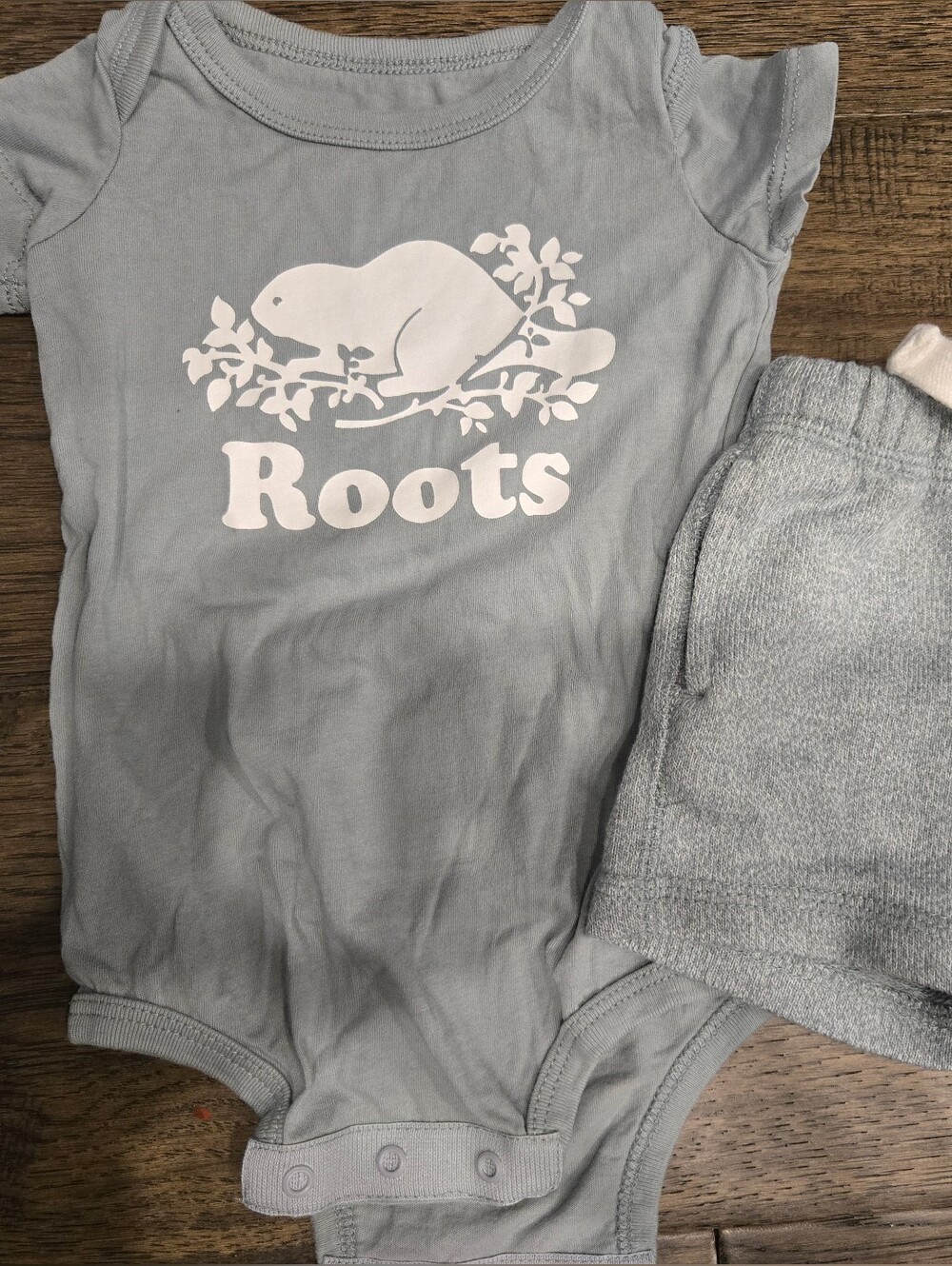 Roots Baby Bodysuit & Shorts Set in Sage